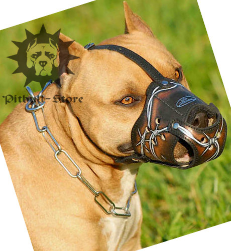 Designer Dog Muzzle with Barbed Wire Ornament for Pitbull