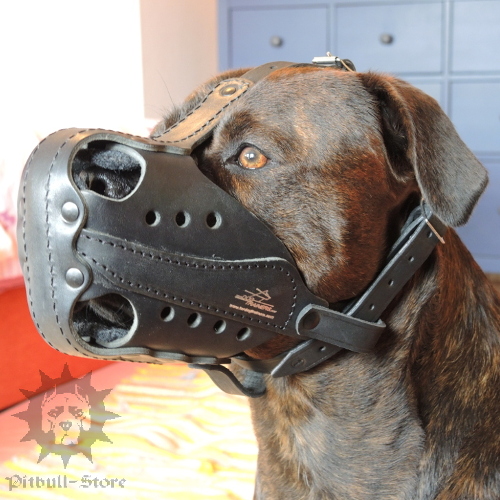 nose muzzle