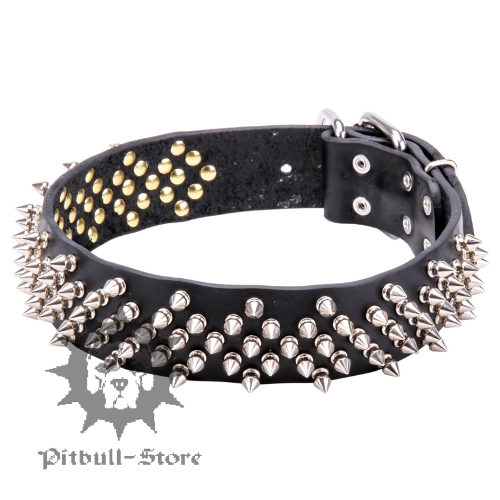Socking Great Spiked Dog Collar for Cool Pitbull and Staff