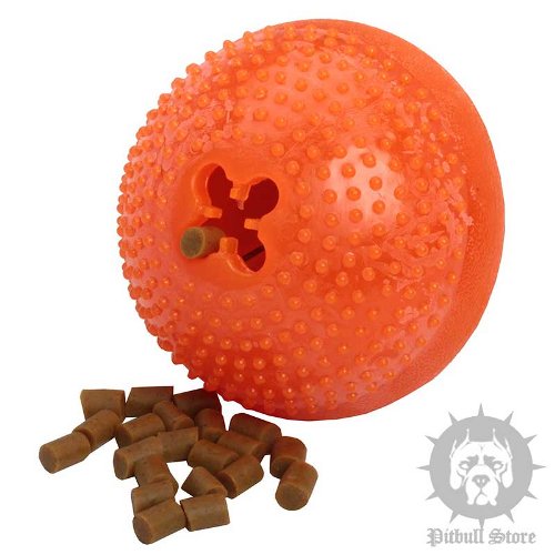 Large Dog Chew Toy with Treats Inside for Aggressive Chewers