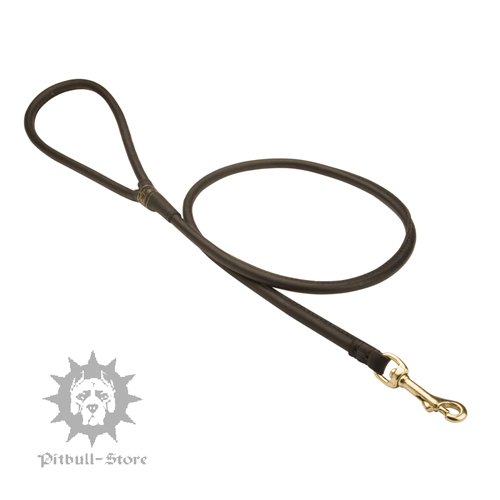 Best Dog Lead of Rolled Leather - 1/4 Inch Wide