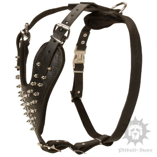 Best Spiked Leather Dog Harness UK for Staffy