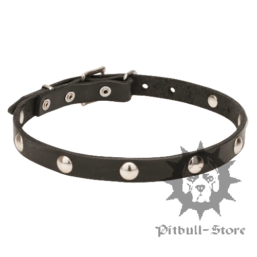 Narrow Dog Collar with Chromed Round Decorations