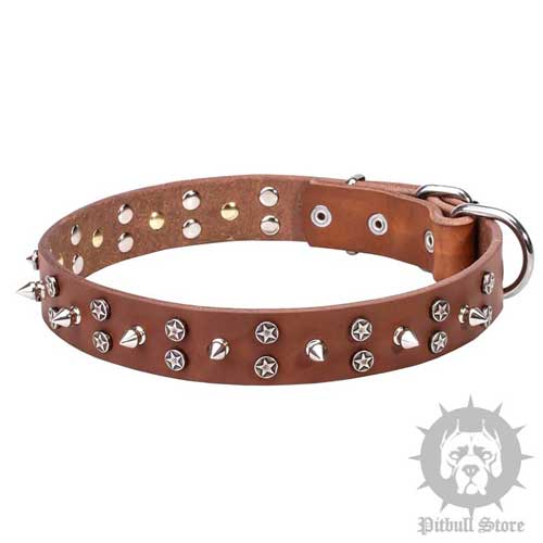 Designer Dog Collar with Stars & Spikes, 1 1/4" Width