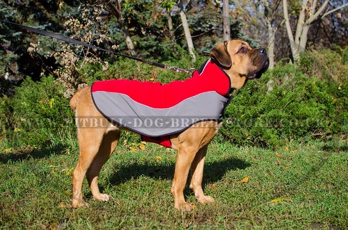 Dog Coat for Cane Corso Comfort in Cold Weather