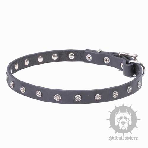 Dog Collar with Stars, 3/4" Wide