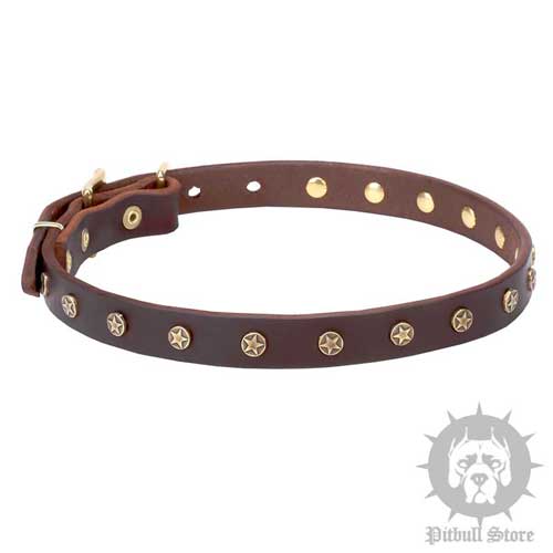 Dog Collar with Stars, Narrow Real Leather Strap, Brass Hardware