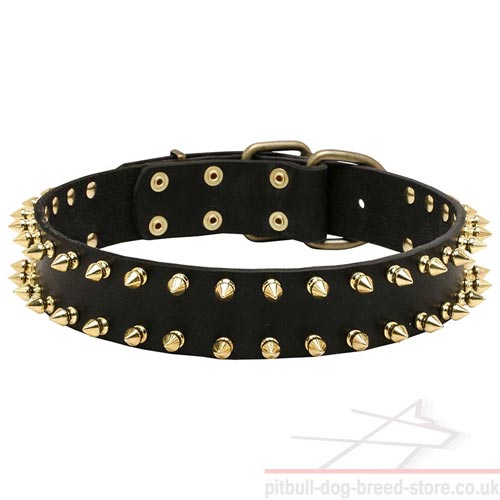NEW Unique Dog Collar with Glancing Brass Spiked Design - Click Image to Close
