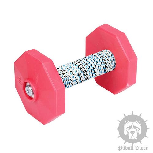 Dog Dumbbell UK with Red Weight Plates and Covered Bar, 1.4 Lbs
