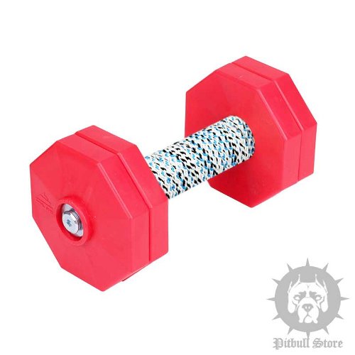 Dog Obedience Dumbbell with 4 Red Plastic Weight Plates, 1 Kg
