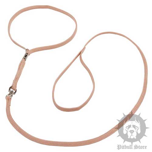 Nylon Dog Show Collar and Lead in 1