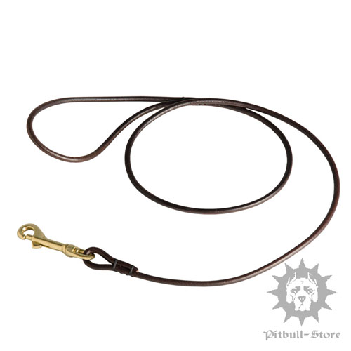 Round Leather Dog Show Lead - 1/4 Inch Wide