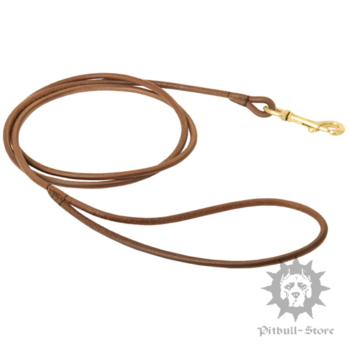 Dog Show Lead or Round Leather - 1/5 Inch Wide