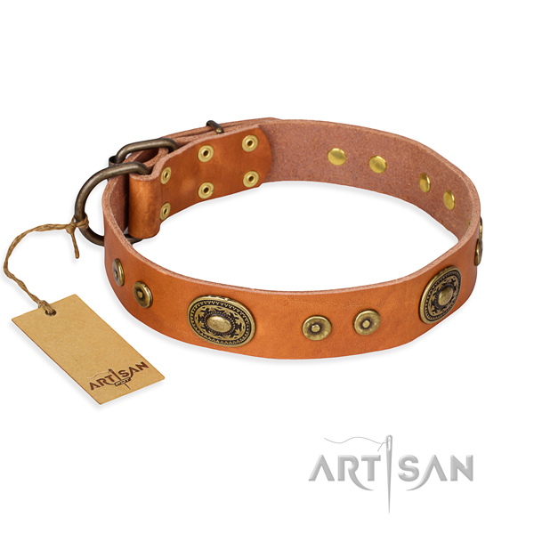 Dandy Pet FDT Artisan
Dog Studded Collar in Tan for Staffies