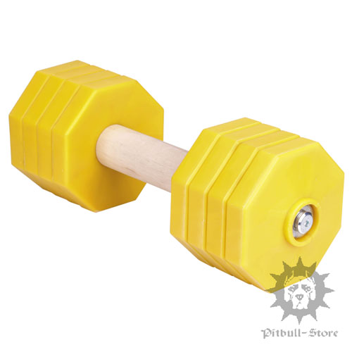 Dog Training Dumbbell with 8 Weight Plates, 2 Kg