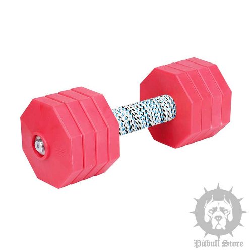 Dog Training Dumbbell with 8 Red Plastic Weight Plates, 2 kg