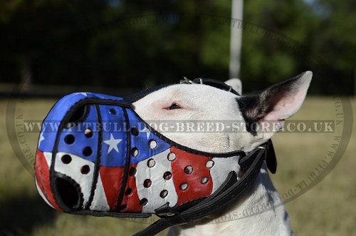 English Bull Terrier Muzzle, Leather, American Pride Ornament