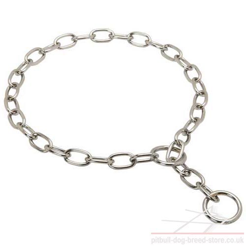 Dog Slip Collar Fur Saver, Choke Chain for Staffy Obedience