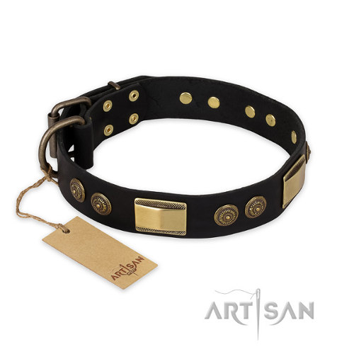Leather Dog Collar Pitbull "Ancient Egypt" FDT Artisan