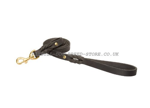Leather Dog Leash with Braided Elements for Pitbull and Staffy