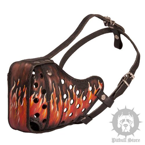 Designer Dog Muzzle for Pitbull, Hand Painted "Flame" Pattern