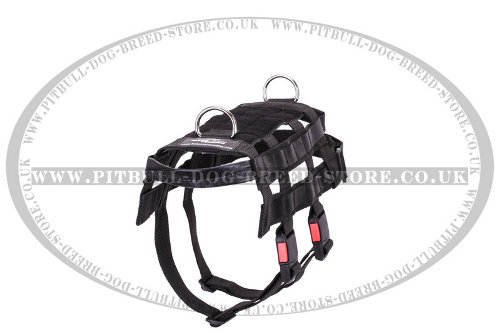 Military Police Dog Harness for Staffy and Pitbull