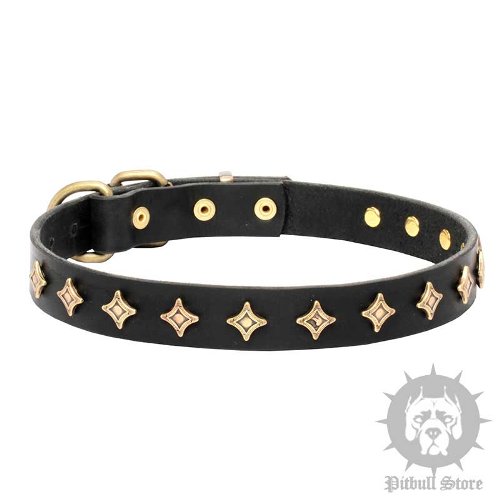 Narrow Width Dog Collar of Leather with "Gold Stars"