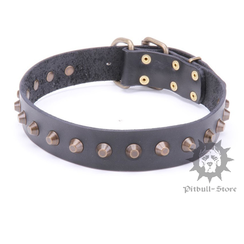 Dog Training Collar with Pyramids for Bull Terrier & Amstaff