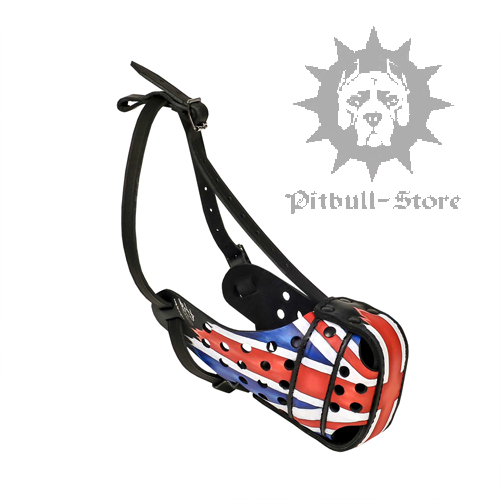 UK Style Painted Dog Muzzle for Daily Activities