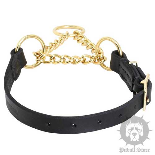 Half Choke Dog Collar for Gentle Behaviour Correction