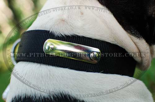 Personalised Dog Collar for Amstaff with Blank Name Plate