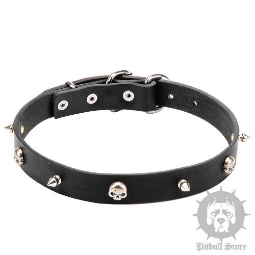 Leather Pirate Dog Collar Narrow Width with Skulls and Spikes