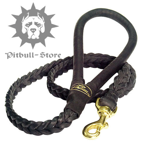 Black Handmade Braided Leather Dog Lead