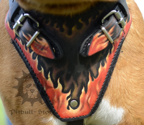 Pitbull Harness with Handle and Cool Flame Design