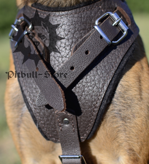 Pitbull Harness for Sale in Brown Colour, UK Bestseller