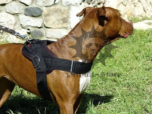 Bestseller! Pitbull Dog Harness for Pulling of Durable Nylon