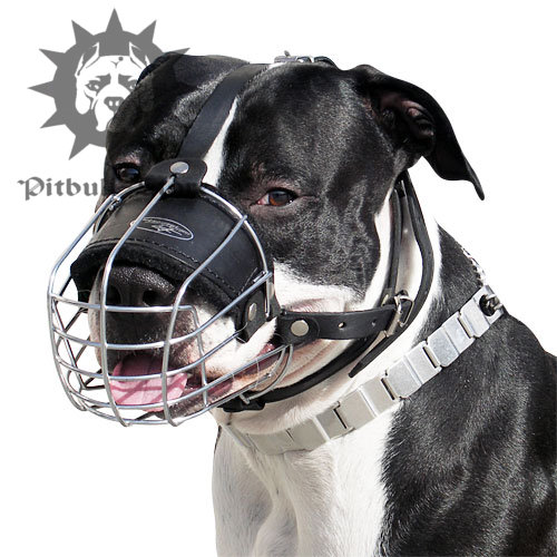 wire basket muzzle for pitbull