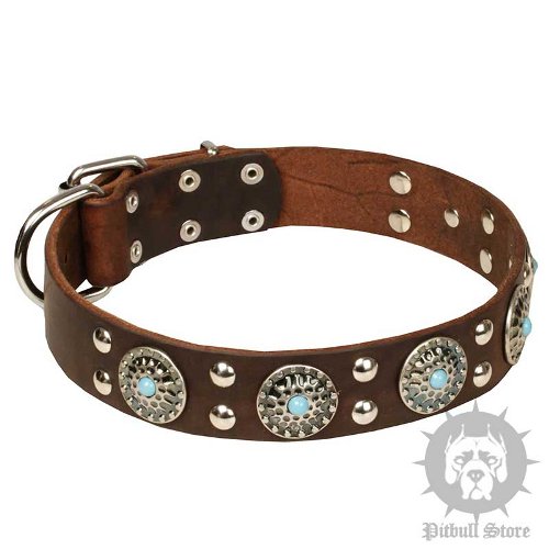 Decorative Leather Dog Collar Azure Stones and "Silver" Studs