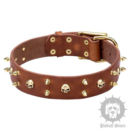 Rockstar Dog Collar, Leather with Brass Spikes and Skulls - Click Image to Close