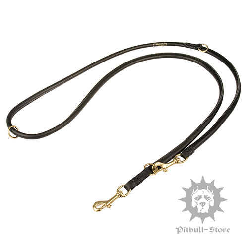 Multi Function Round Leather Dog Leash