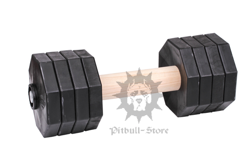 IGP Dumbbell for Advanced Dog Training, 2 Kg