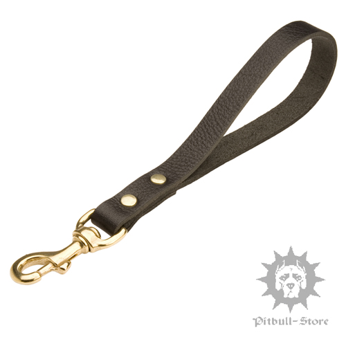 Classic Design Short Dog Lead of Leather