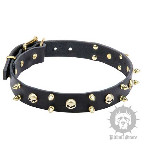 "Rock Star" Spiked Dog Collar with Skulls