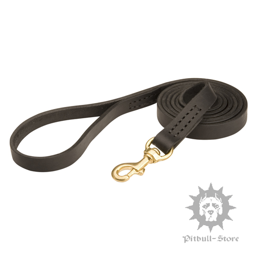 Classic Staffy Dog Lead with Brass Hardware