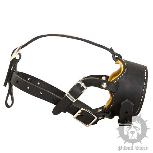 Padded Dog Muzzle with Nappa for Pitbull of Natural Leather