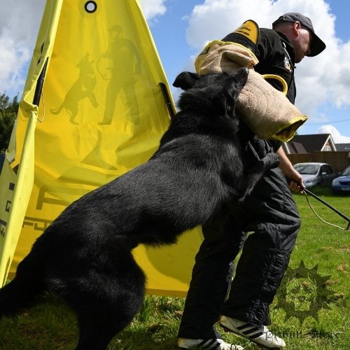 Staffy Training Sleeve with Jute Cover Best for IGP