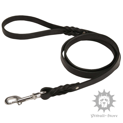 Strong & Stylish Dog Leash with Braids