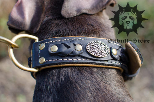 Bestseller! Thick Leather Dog Collar for Pitbull of Royal Design