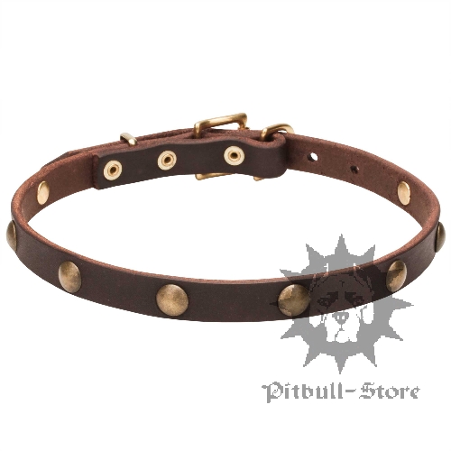 Thin Dog Collar of Cute Vintage Design