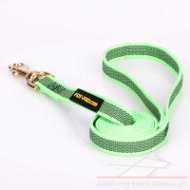Leash for Pitbull of Green Nylon with Non-Slipping Rubber Lines